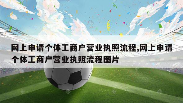 网上申请个体工商户营业执照流程,网上申请个体工商户营业执照流程图片